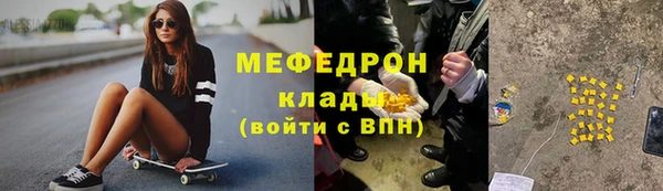 мдпв Ельня