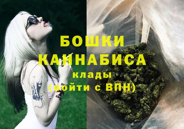 крисы Осташков