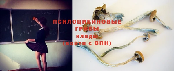 гашиш Няндома