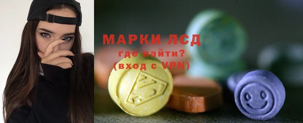 сатива Елизово