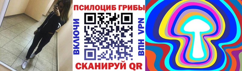 Псилоцибиновые грибы ЛСД  MEGA зеркало  Сасово 